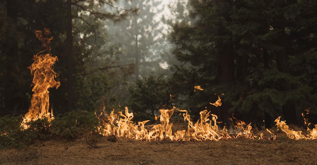 Wildfire Sierra Nevada