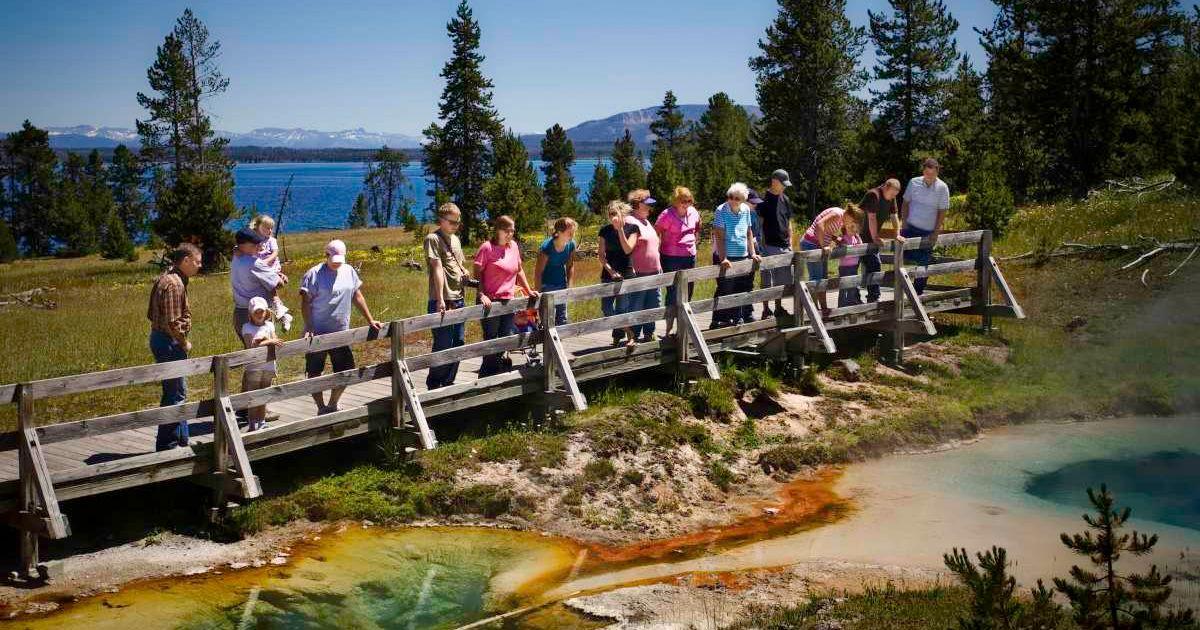 Visitors line up on a boardwalk to see hot spring in Yellowstone National Park (Representative Cover Image Source: Getty Images | BirdolPrey)
