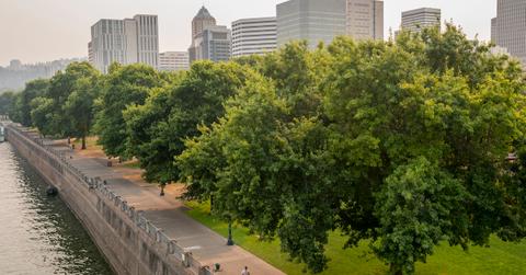 Best Vegan Restaurants in Portland, Oregon