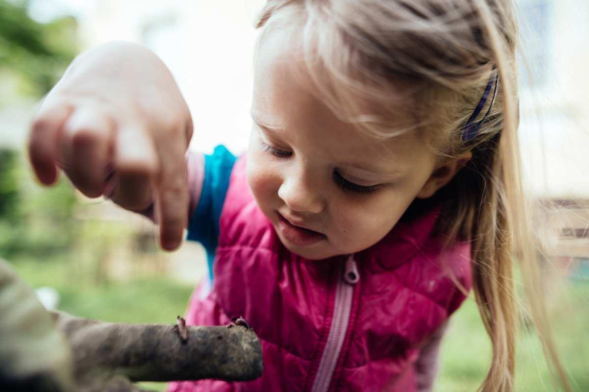 pn/accb be af fdbcebe