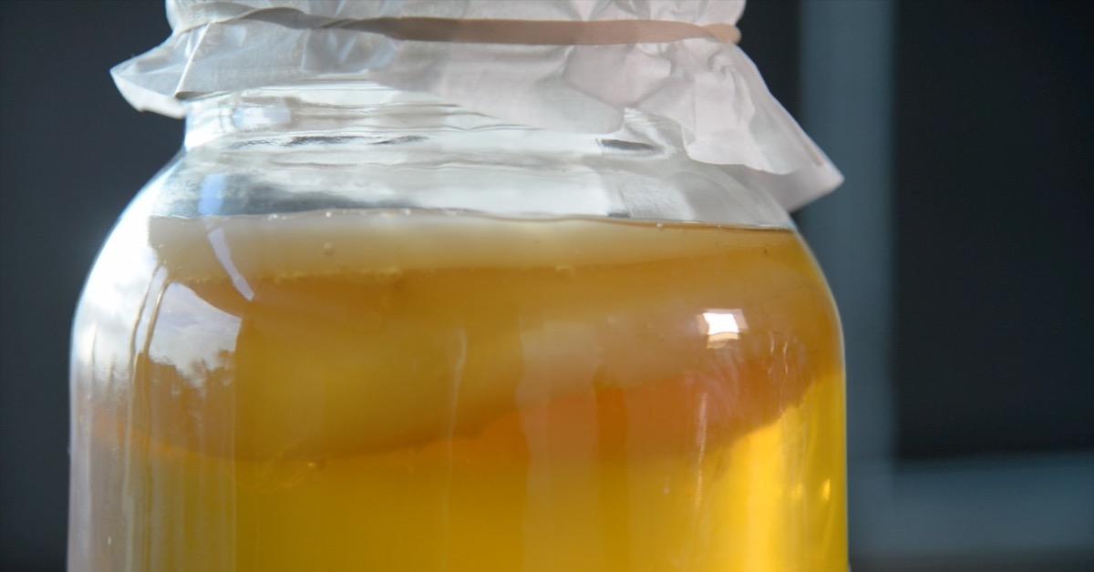 A SCOBY on floats in a batch of Kombucha brewing in a large jar at the Denver Post