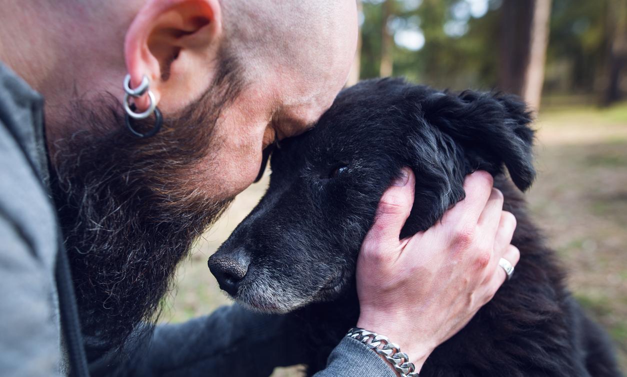 How Much It Costs to Cremate a Dog vs. a Pet Burial