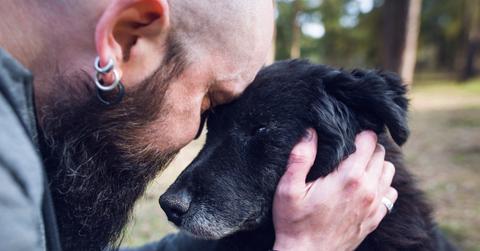 A man with earrings and a large beard comforts a black dog with their heads pressed against one another.