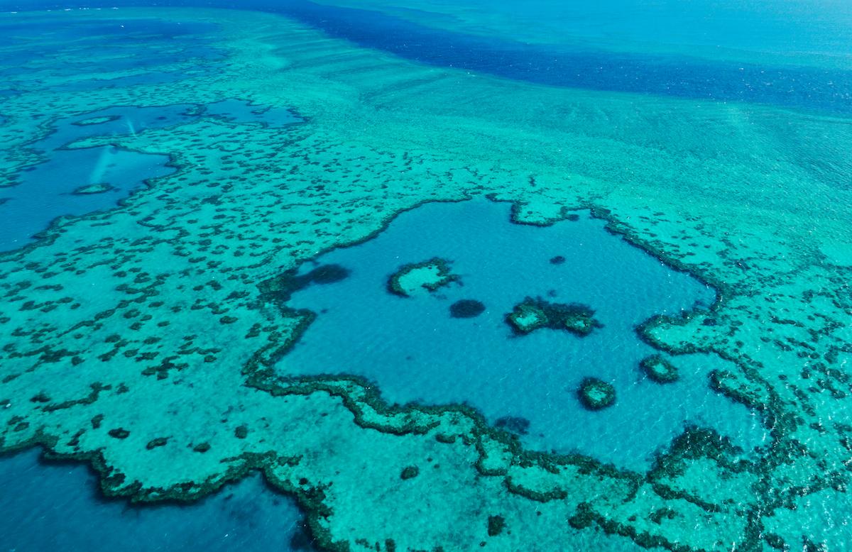 great barrier reef