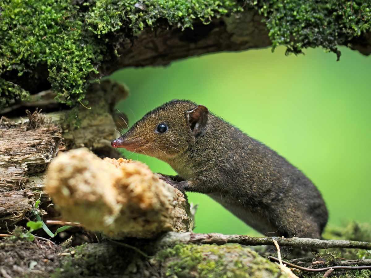 pn/ccdbe c de aee fafadd