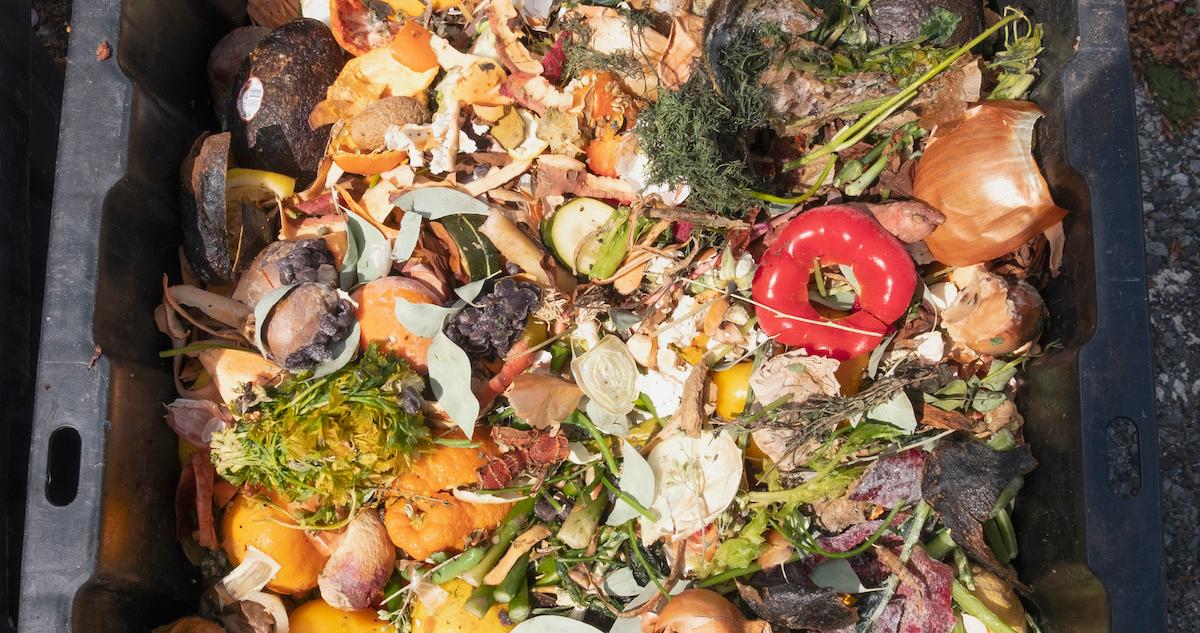 Does Indoor Compost Smell?