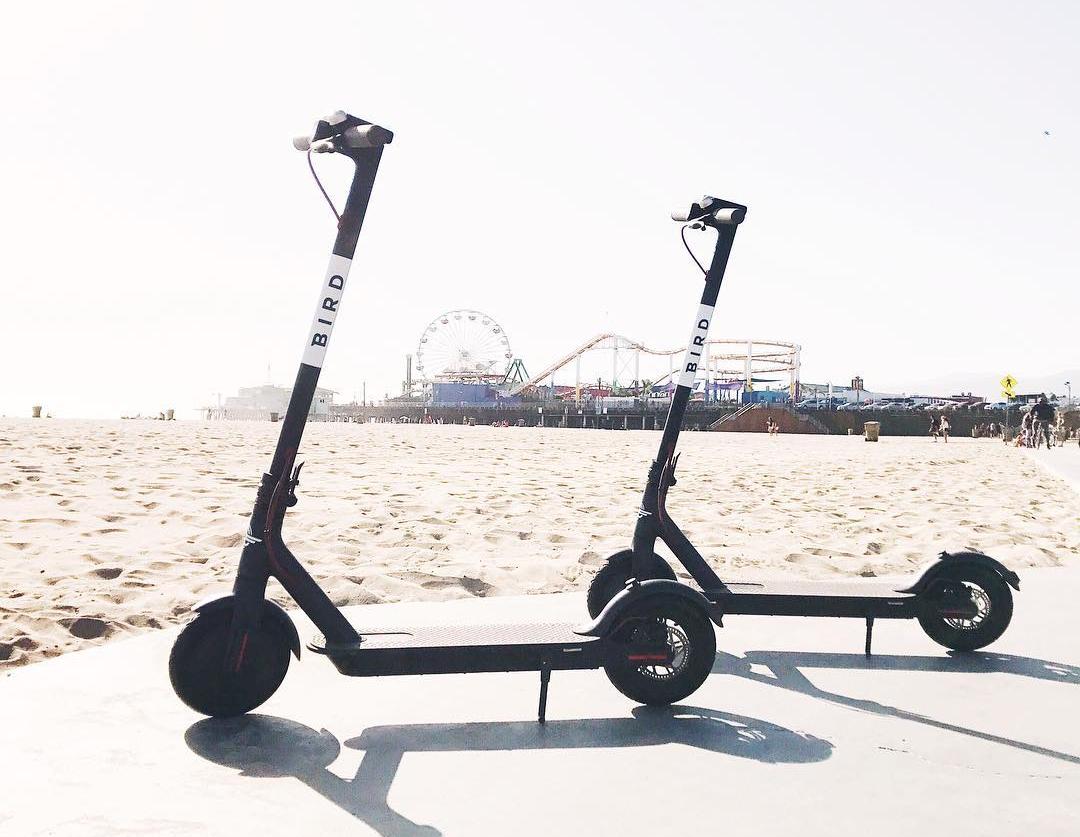 Bird Electric Scooter Is The Latest EcoFriendly Rideshare