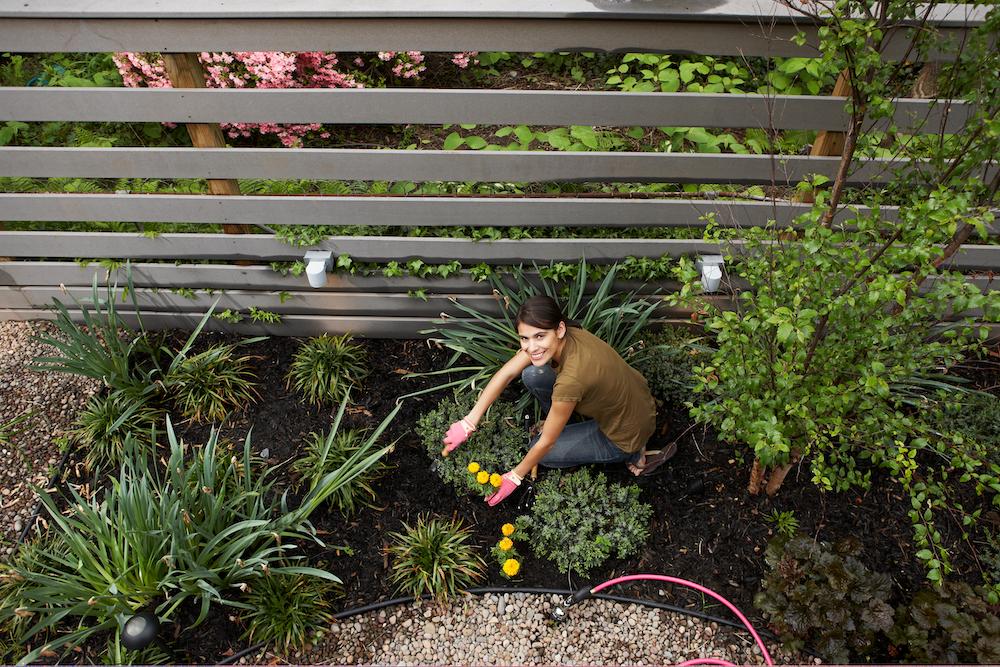 A person working in a fenced in garden. 