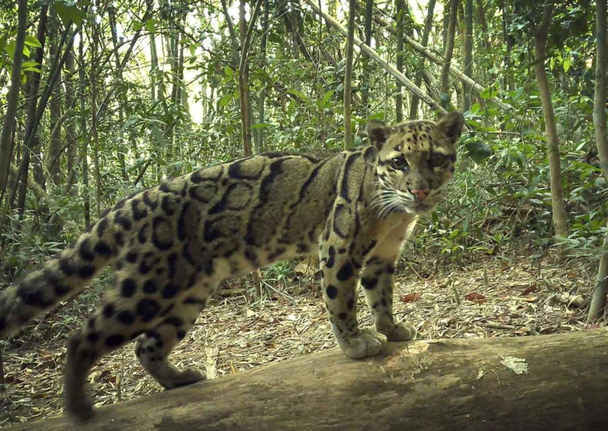 pn/eacdbb a db bcdd eef