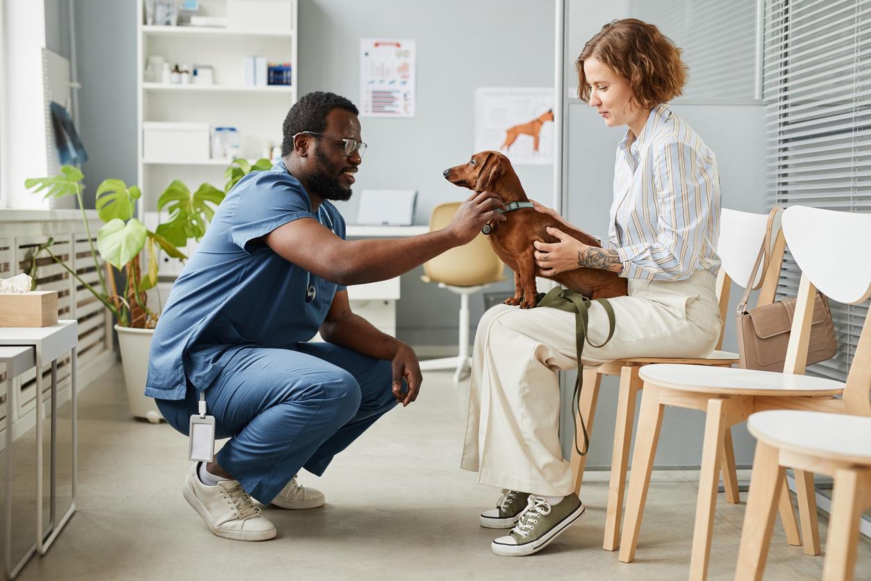 A vet in blue scrubs pets a dachshund in a client's lap.