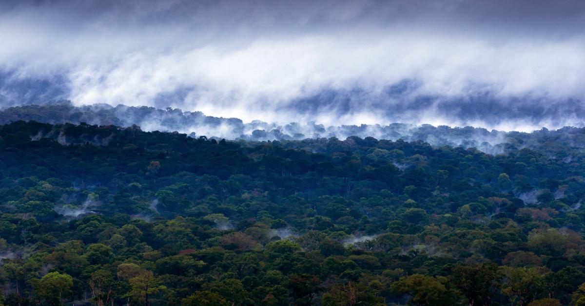 deforestation africa satellites