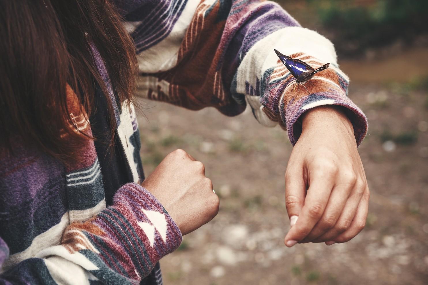 An Apatura Iris (Purple Emperor) butterfly lands on the wrist area of a girl in the mountains on a hike.