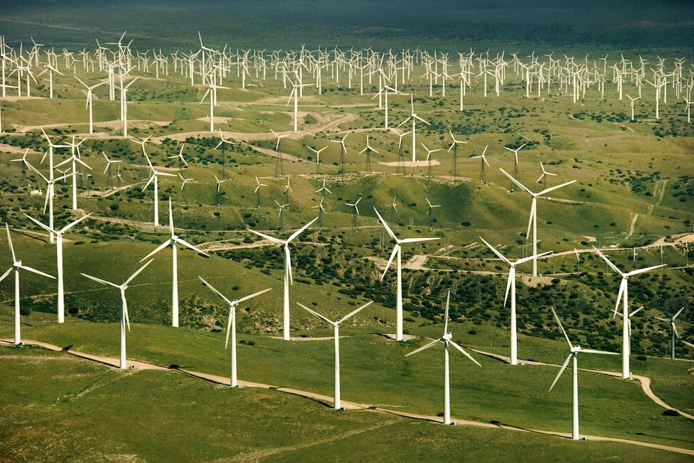 Wind farm on a green field