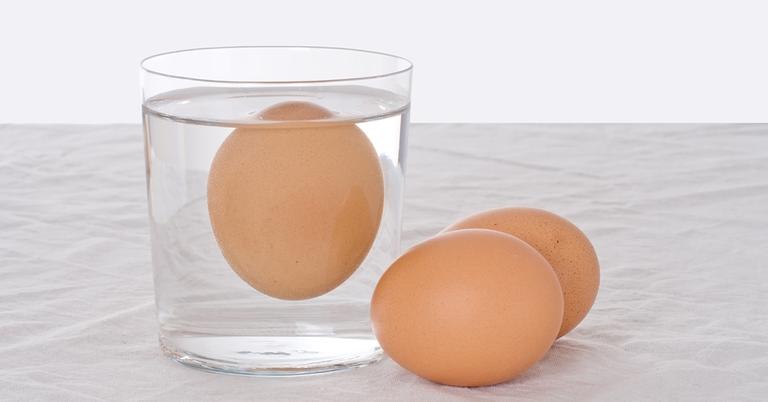 Science Experiments To Do At Home With Kids