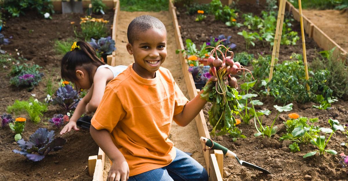 Kids Vegetarian