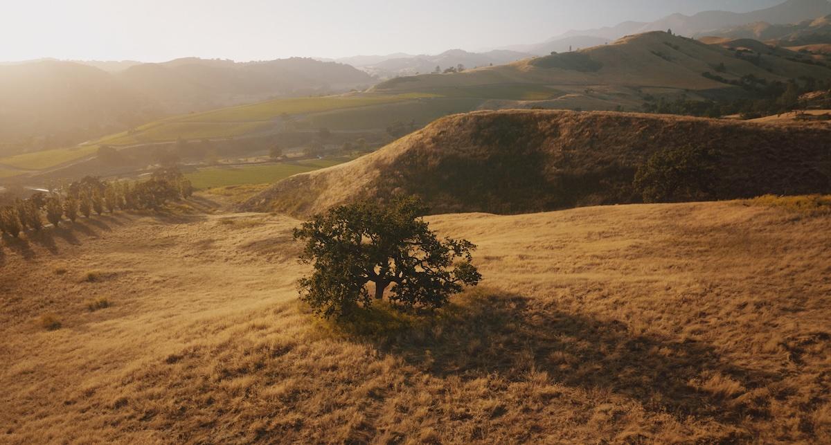 kiani preserve