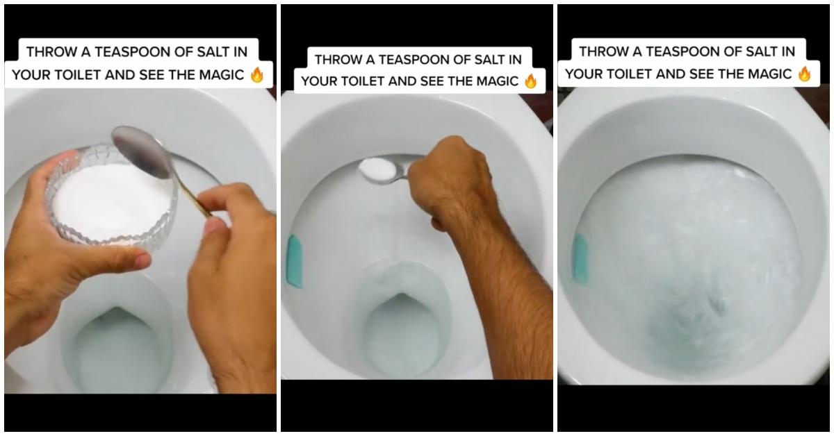 Salt in toilet TikTok hack