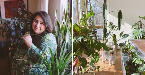 Plant mom Alessia Resta has turned her apartment into a forest for over 200 rare plants (Cover Image Source: Instagram | @apartmentbotanist)