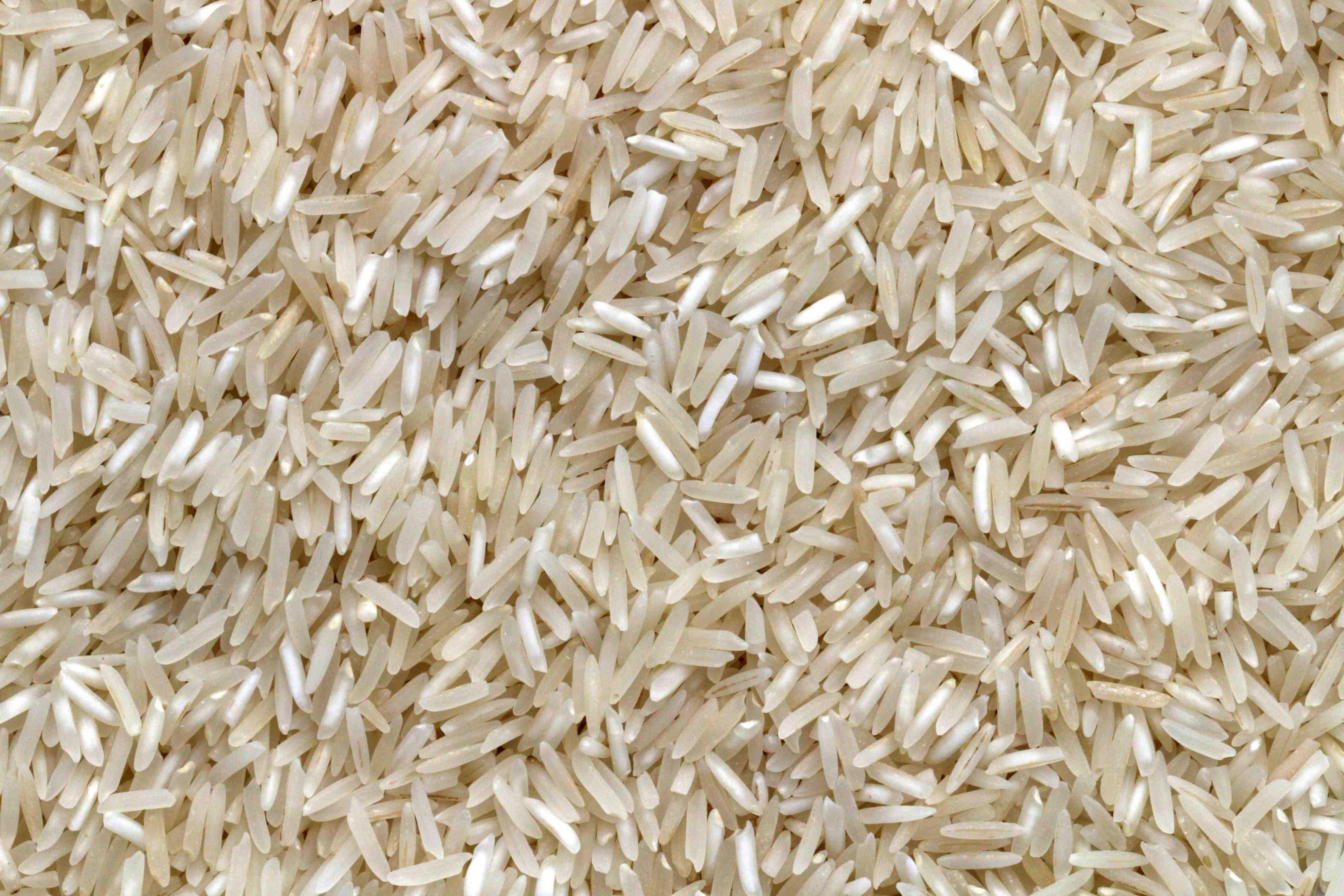 A generic photo of white rice is pictured.