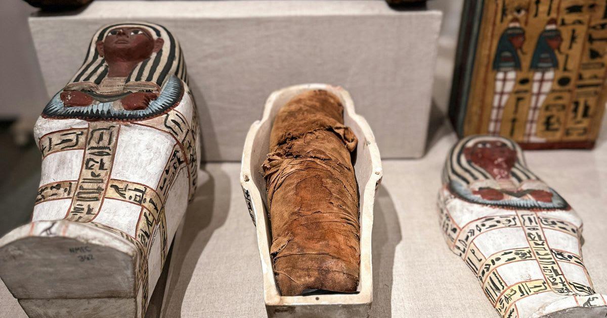 pn/cefaf bbe b ff edffafcc