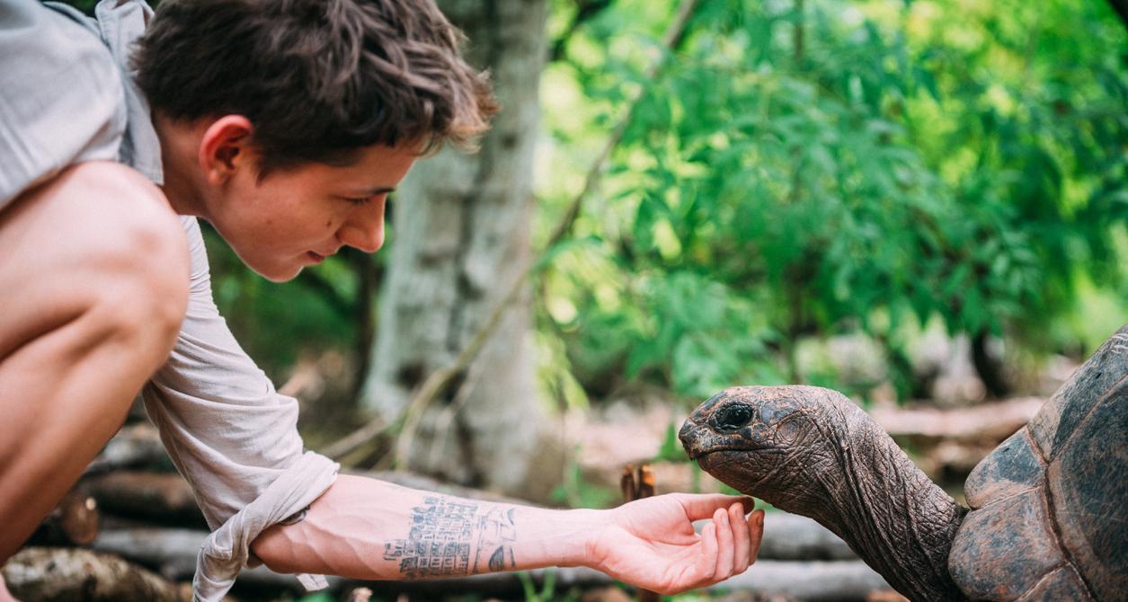 Turtle Rescue Near Me: The Best Turtle Rescues Nationwide