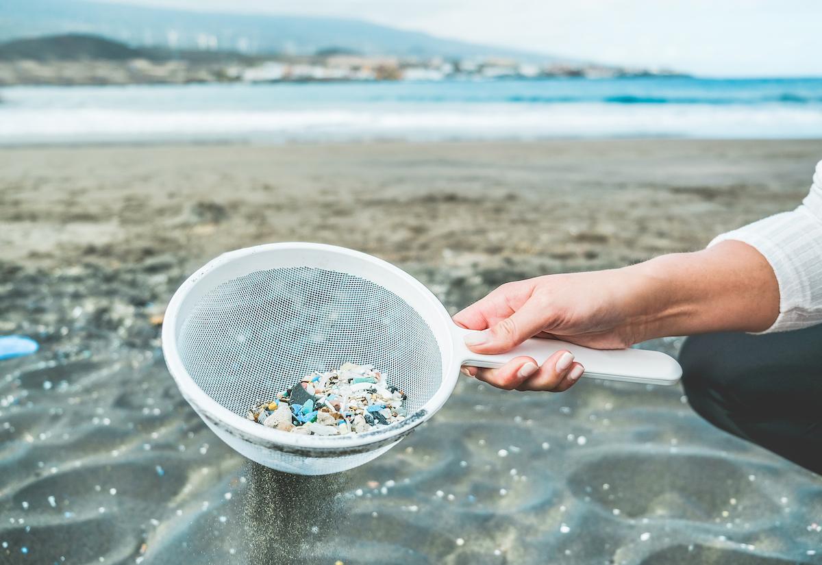 microplastics detected human organs