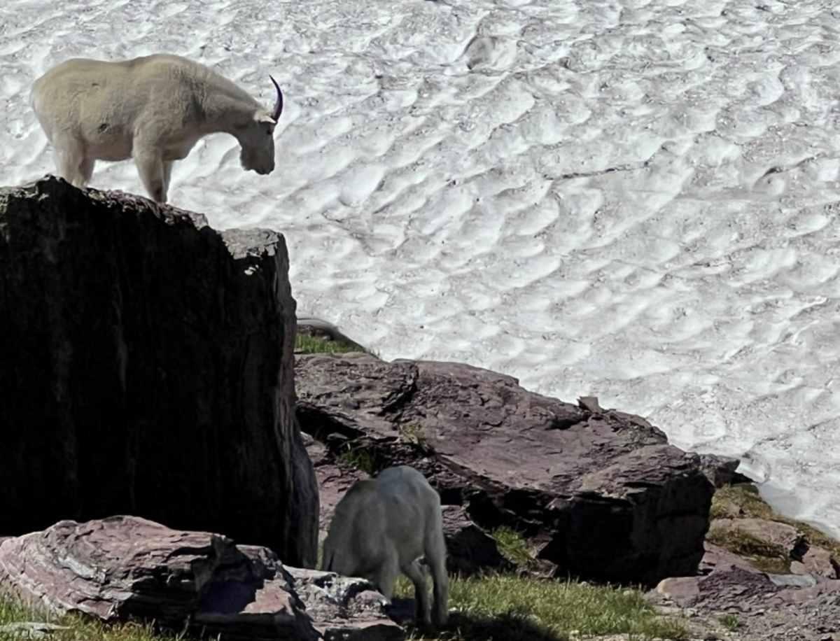 pn/beb cc d a dabecdebb