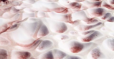 Stock photo of algae growing on snow in British Columbia, Canada.