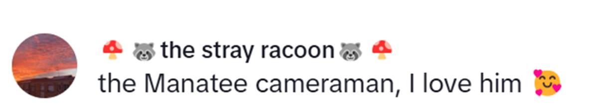 pn/e ddd fe a cafcd