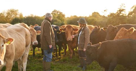 Two farmers are looking at their grazing cows on a pasture. (Representative Cover Image Source: Getty Images | Kelvin Murray)