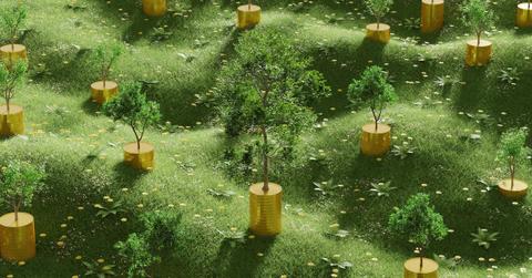 Can Green Finance Truly Change the Future of Business?