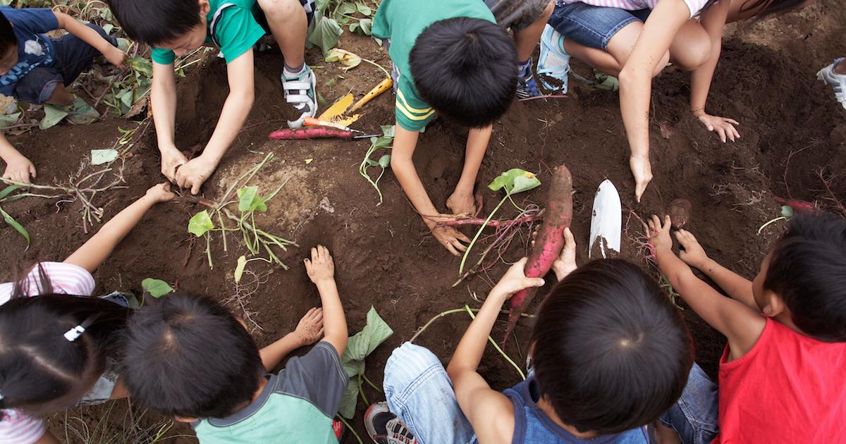 Why Gardening Is Important