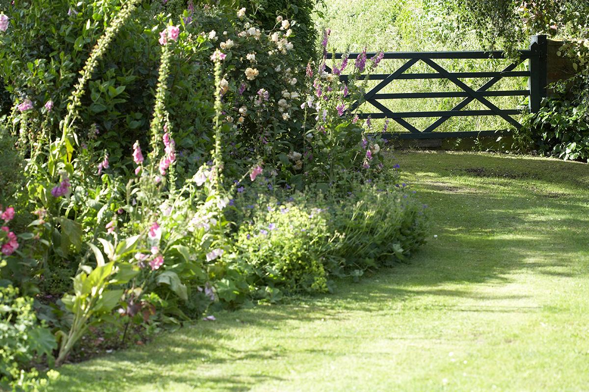 A garden in the UK with light in some parts, shade in others. 