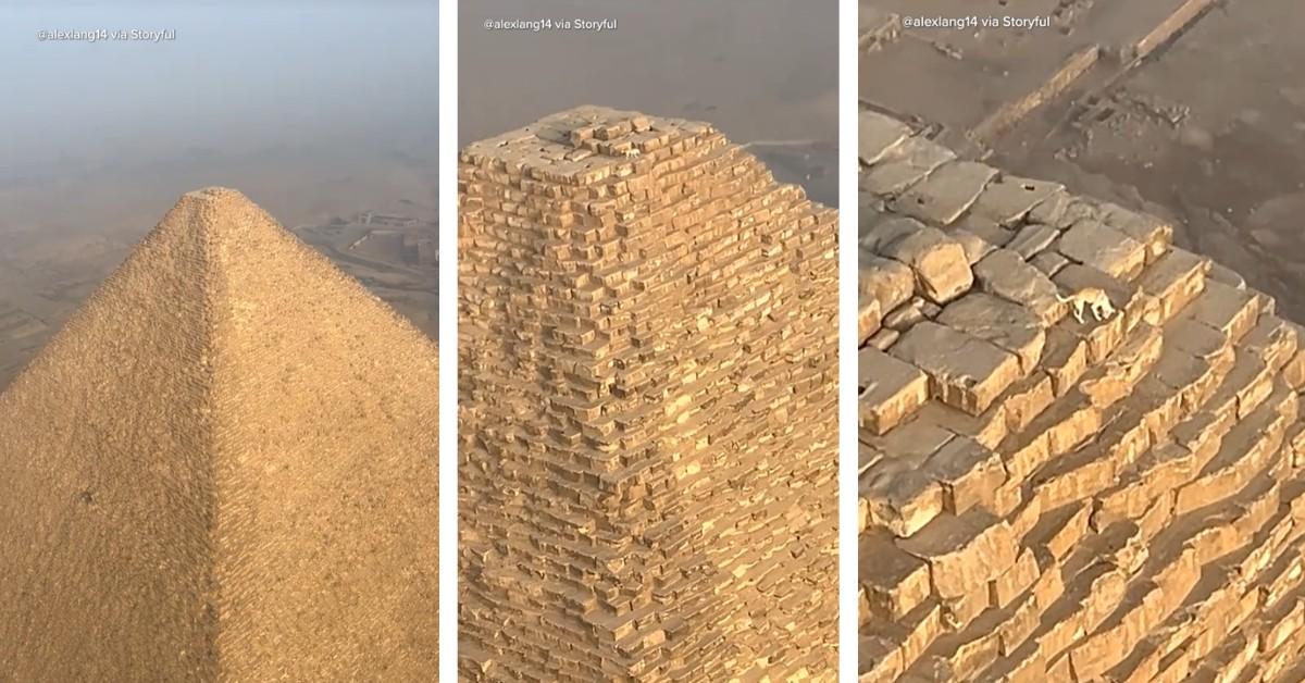 Dog climbs to the top of the Great Pyramid of Giza to bark at birds