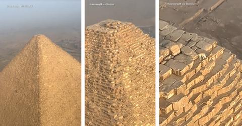 Dog climbs to the top of the Great Pyramid of Giza to bark at birds