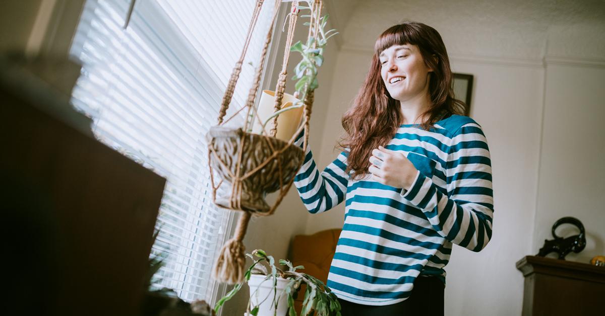 hanging plant indoor