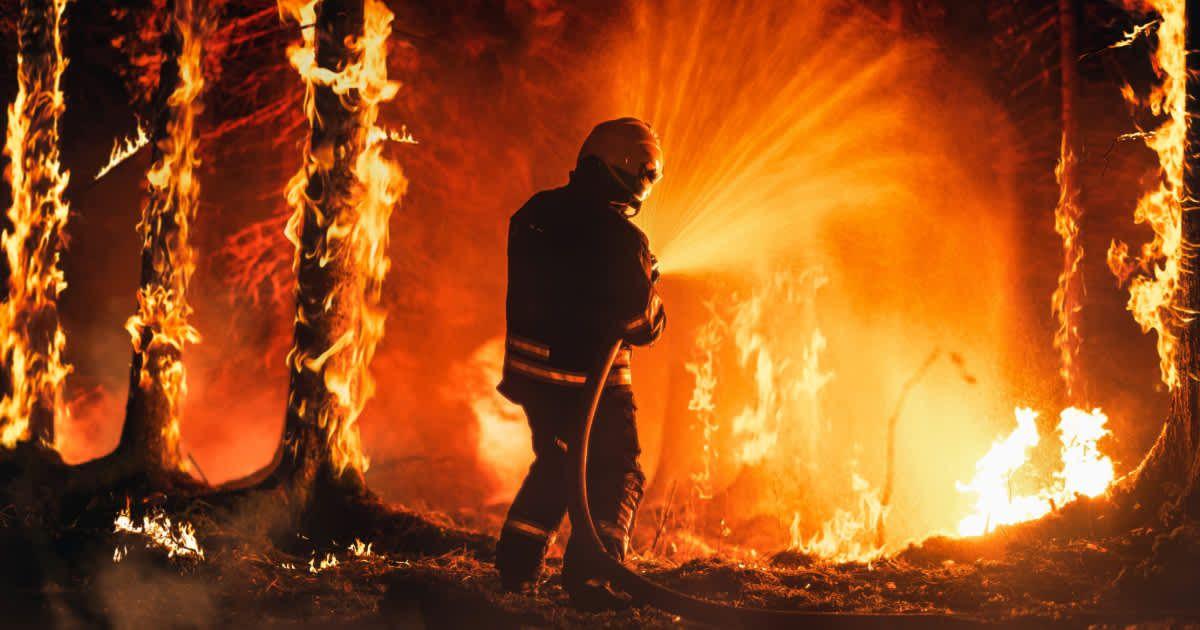 A firefighter trying to extinguish a forest fire (Representative Image Source: Getty Images | gorodenkoff)