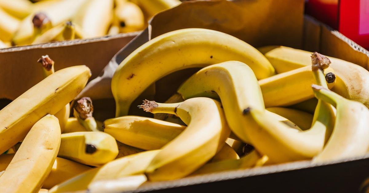 Bananas ripening in cardboard boxes. 