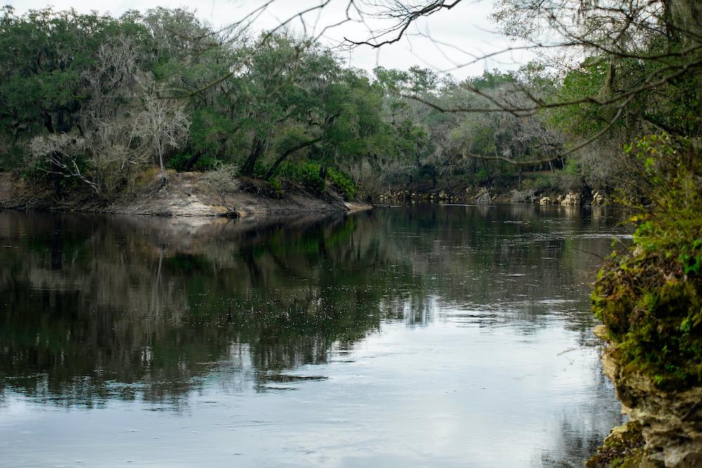 The Suwannee River