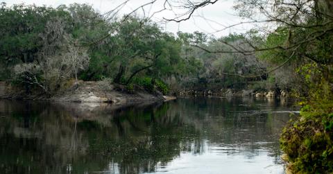 The Suwannee River