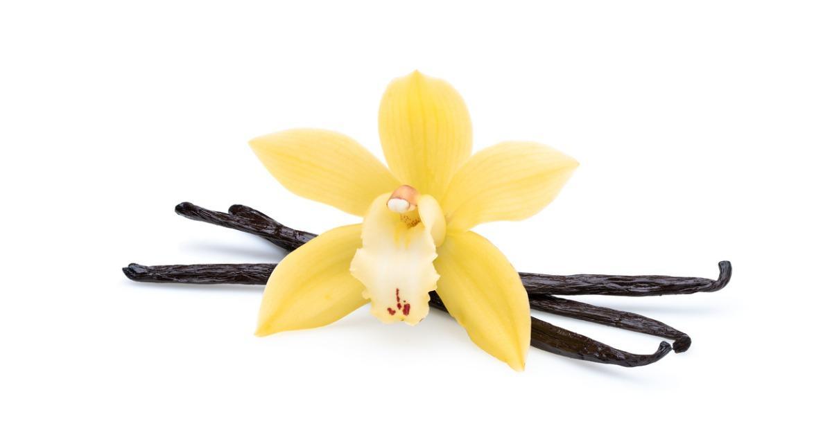 where does vanilla flavoring come from nz