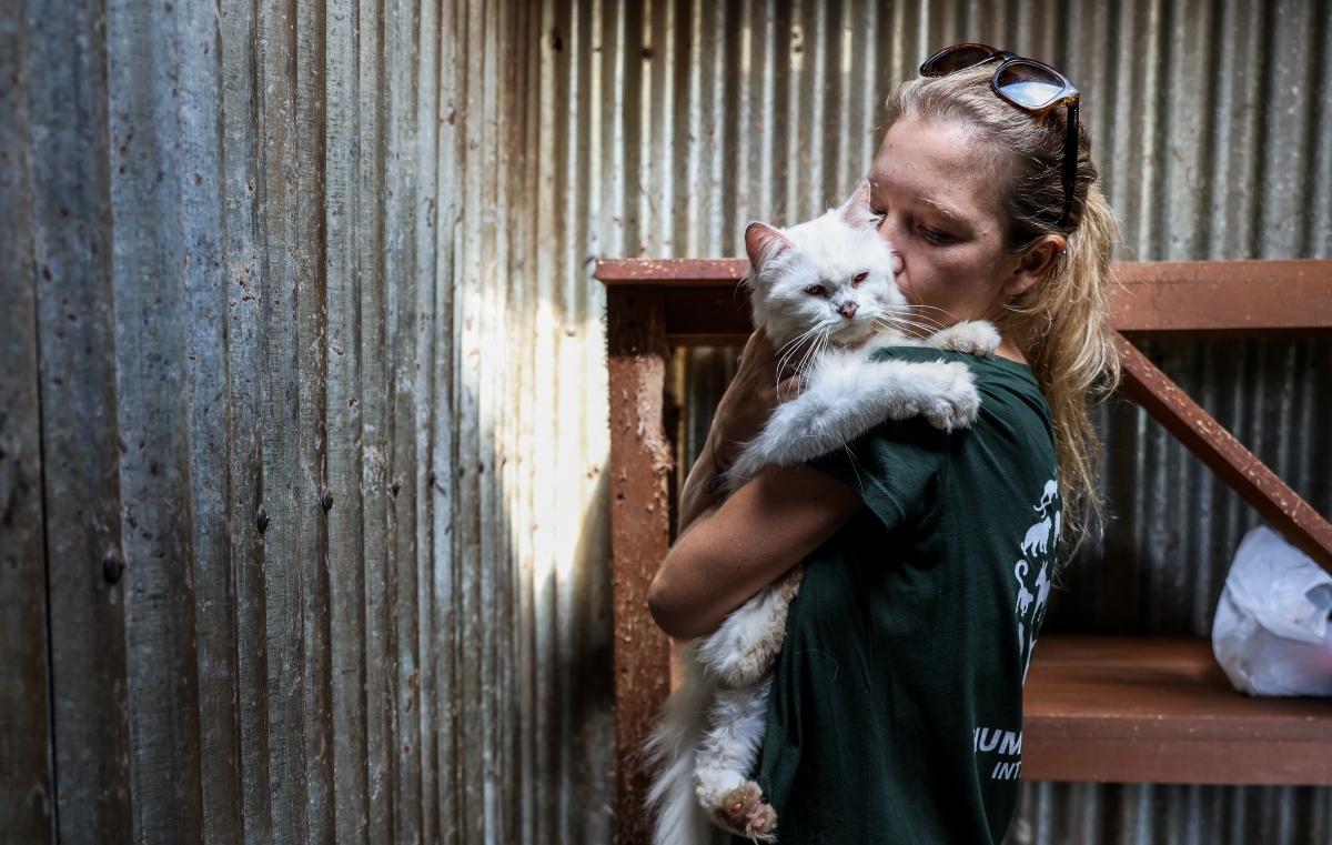 Female volunteer cuddles white rescued cat