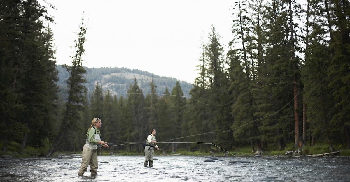 Salmon Poaching