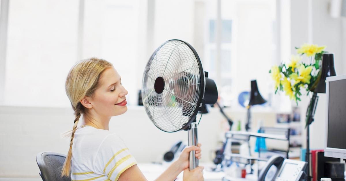 Cooling down in front of a fan