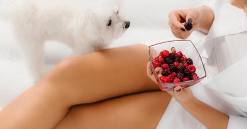 A white dog standing next to someone with a bowl of berries