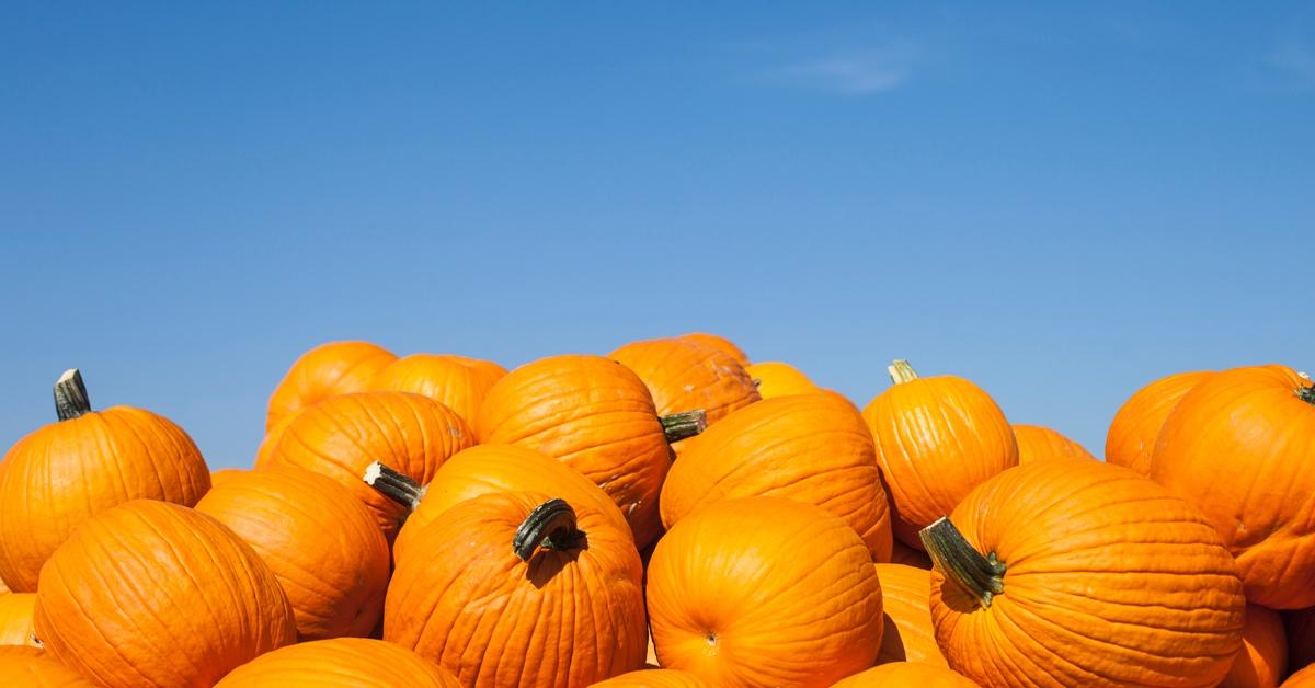 Pumpkin pile with a blue sky