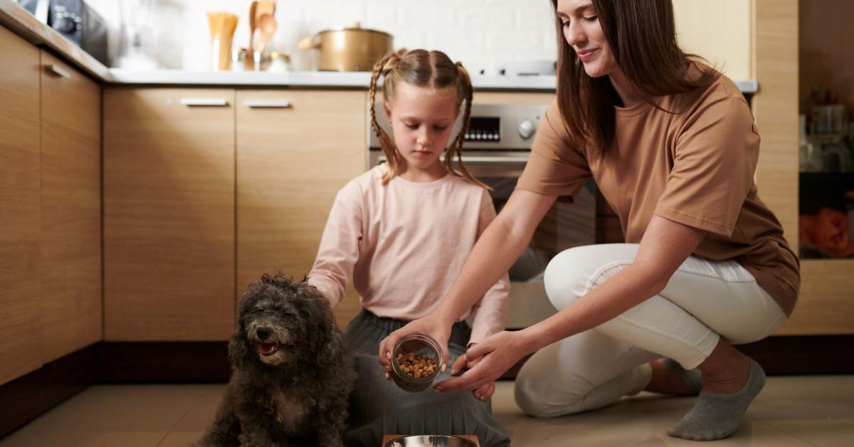 Dog shop hides treats