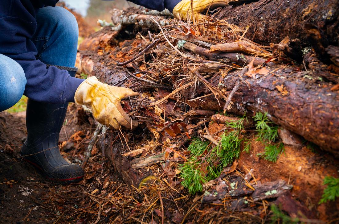 Gardener filling a hugelkultur garden