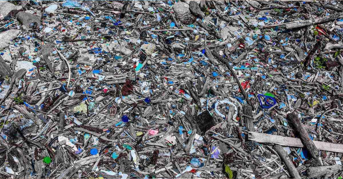The Great Pacific Garbage Patch’s Ecosystem What to Know About It