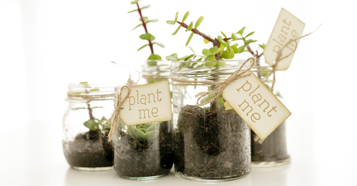 upcycle mason jar planters